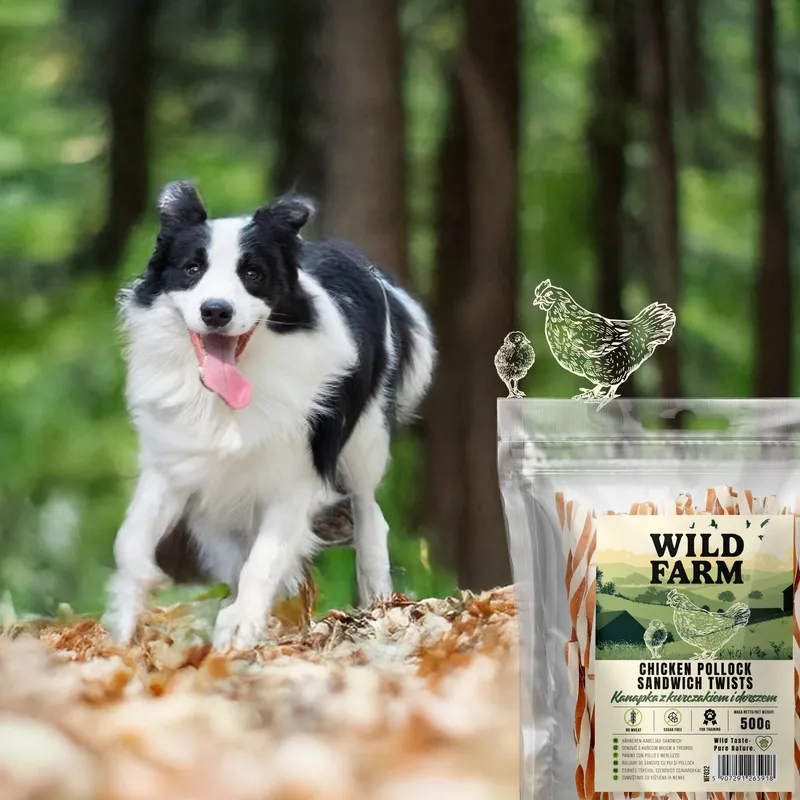 Przysmak Dla Psa Mięso Suszone Naturalne Bezzbożowe ZOOJOY 500 g