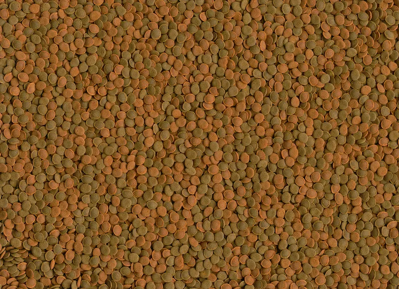 Tetra Wafer Mini Mix 100ml