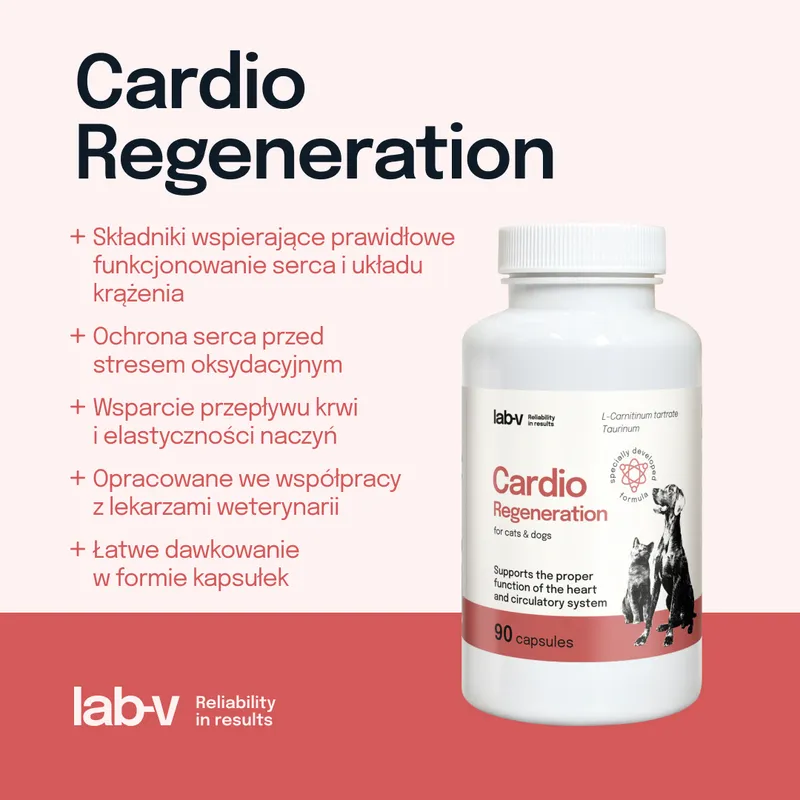 Suplement Na Serce Dla Psa I Kota 90 szt ZOOJOY Cardio Regeneration