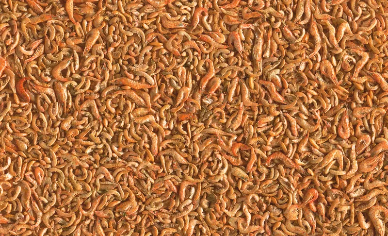Tetra Pond Shrimp Mix 1l