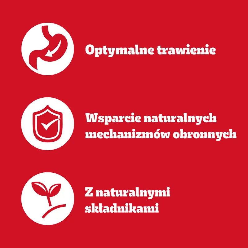 Pedigree Mokra Karma Dla Dorosłych Psów W Galaretce Mix Smaków (Z Wołowiną, Z Kurczakiem, Z Jagnięciną, Z Drobiem) 40x100g