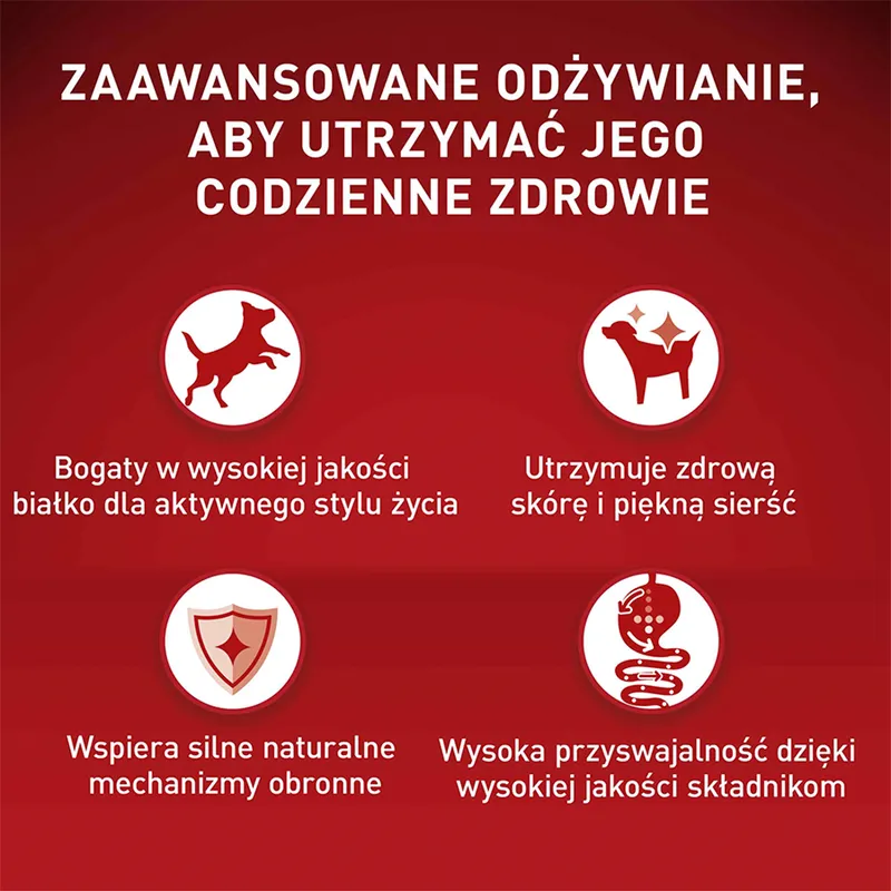 PURINA ONE Mini Delicate Łosoś, Ryż - Sucha Karma Dla Psa - 800 g