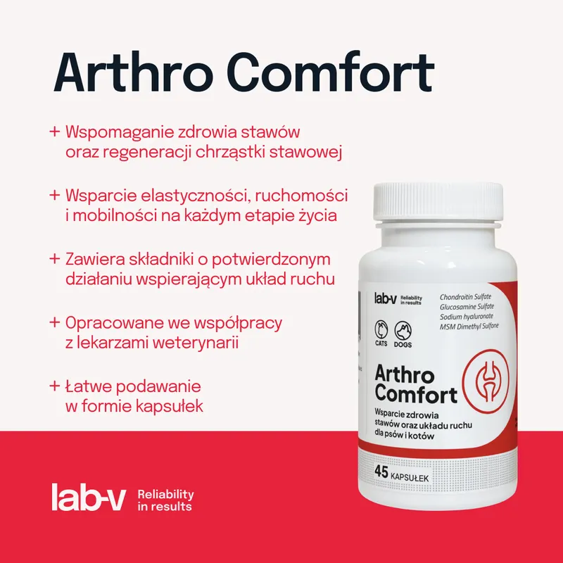 Lab-V Arthro Comfort Kompleksowe Wsparcie Zdrowia Stawów I Układu Ruchu Dla Psów I Kotów 45 Kapsułek