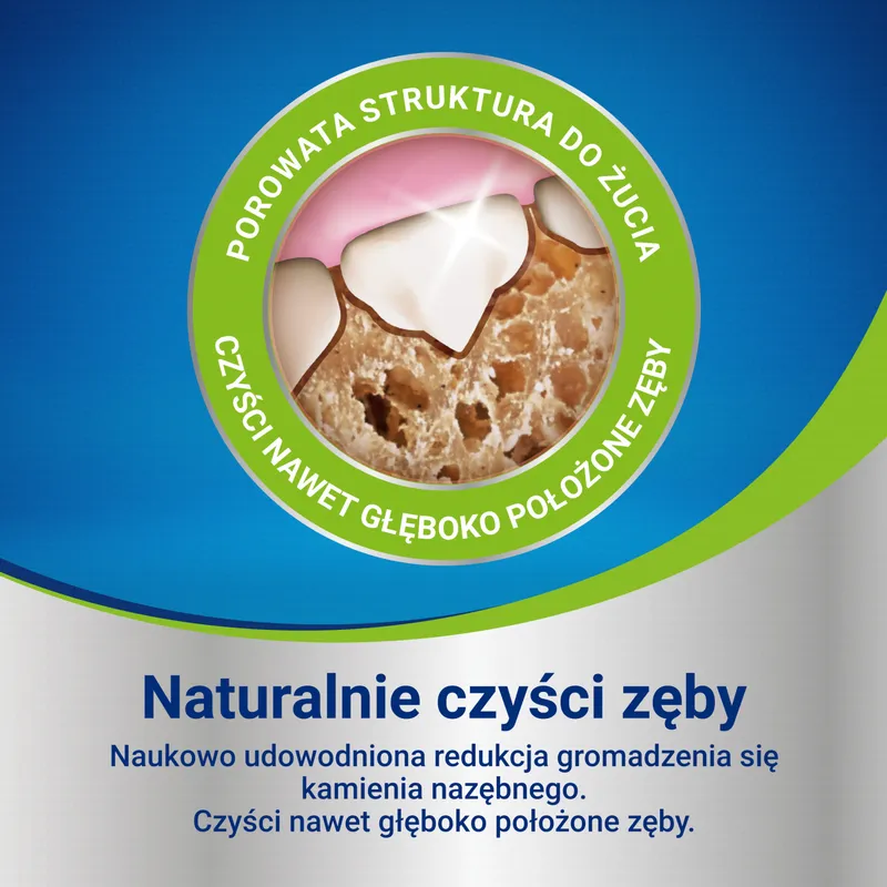 PURINA Dentalife Large 142g