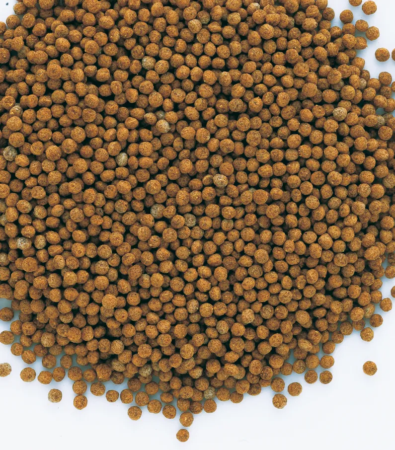 Tetra Goldfish Granules 250ml