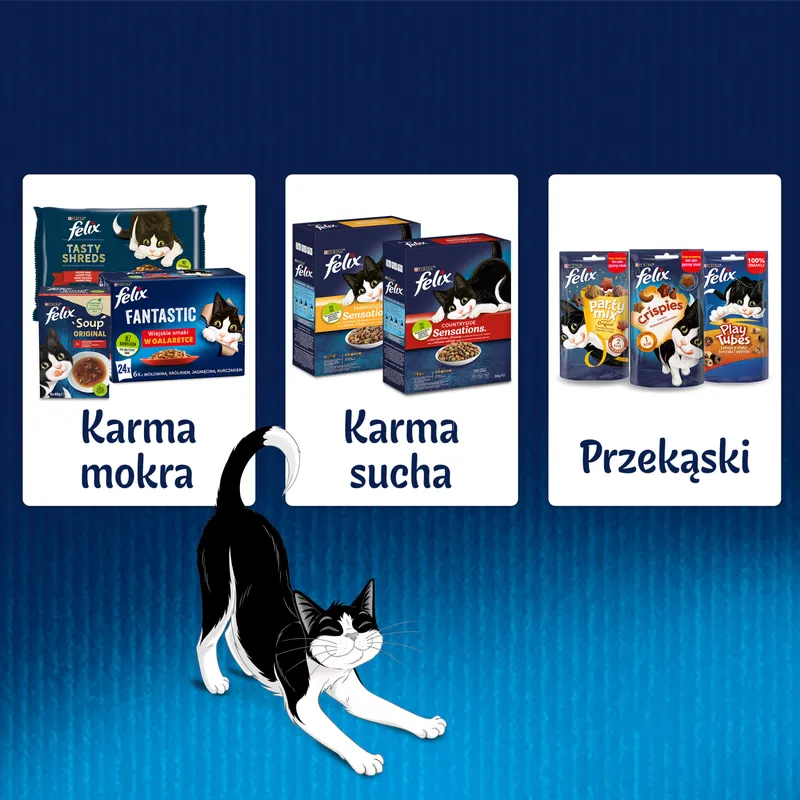 Felix Fantastic Królik W Galaretce 85g