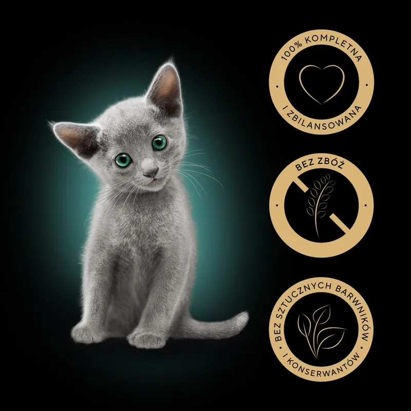 Sheba Kitten Wybór Smaków W Sosie Karma Dla Kociąt 40x85g