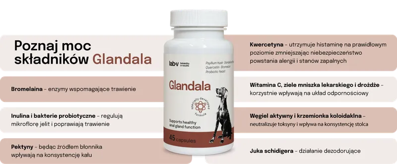 Suplement Na Gruczoły I Trawienie Dla Psa Kota ZOOJOY 45 Kapsułek