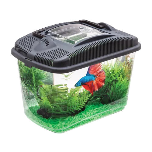 AQUAEL Akwarium Betta Kit Dla Bojownika 3l