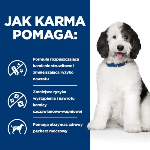 Hill's PD Prescription Diet Canine C/D Urinary Care 4kg