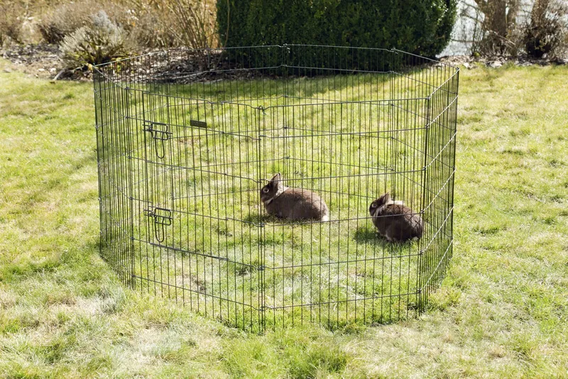 KERBL Kojec Klatka Dla Psów I Innych Małych Zwierząt