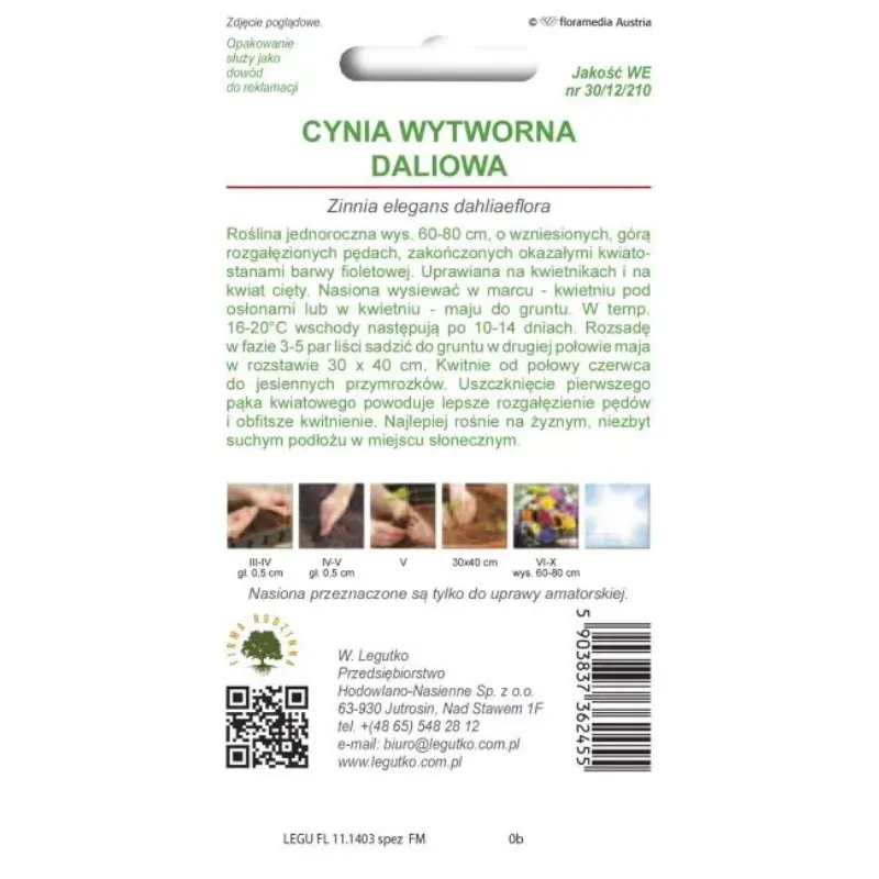 Cynia Wytworna Violet Queen Kwiaty Ogrodowe Jednoroczne GARDIVA 1,5 g
