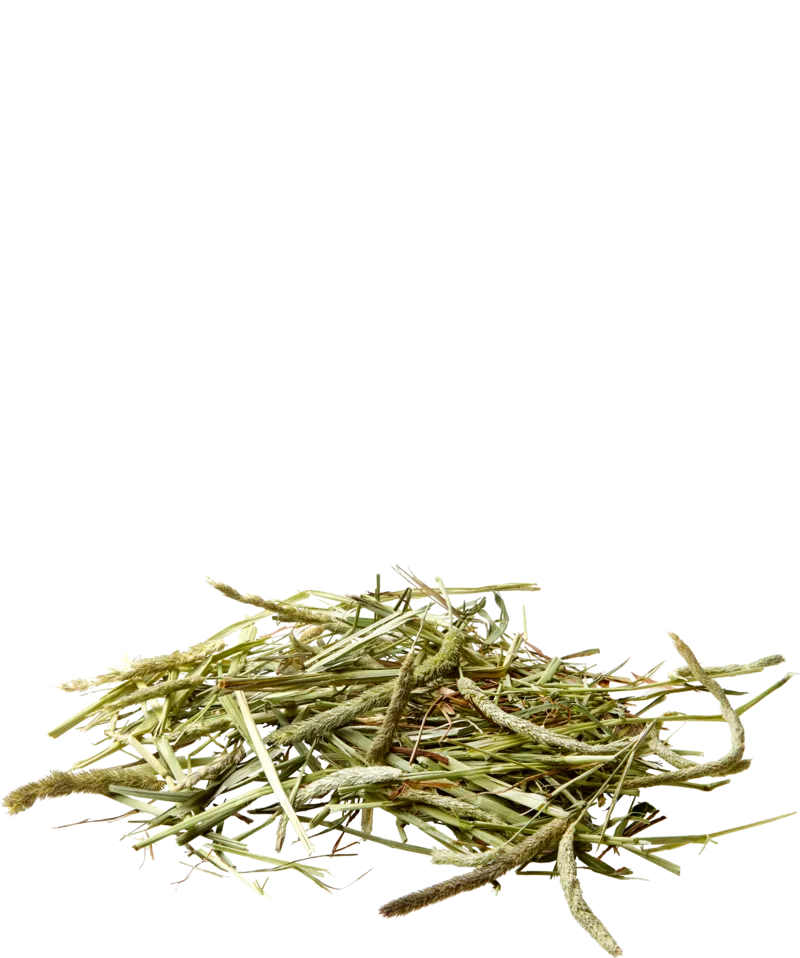 Versele-Laga Timothy Hay 1kg