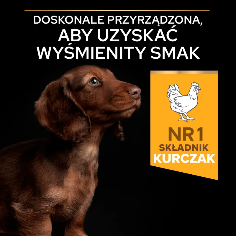 Purina Pro Plan Small & Mini Puppy Optistart Kurczak I Ryż 7kg