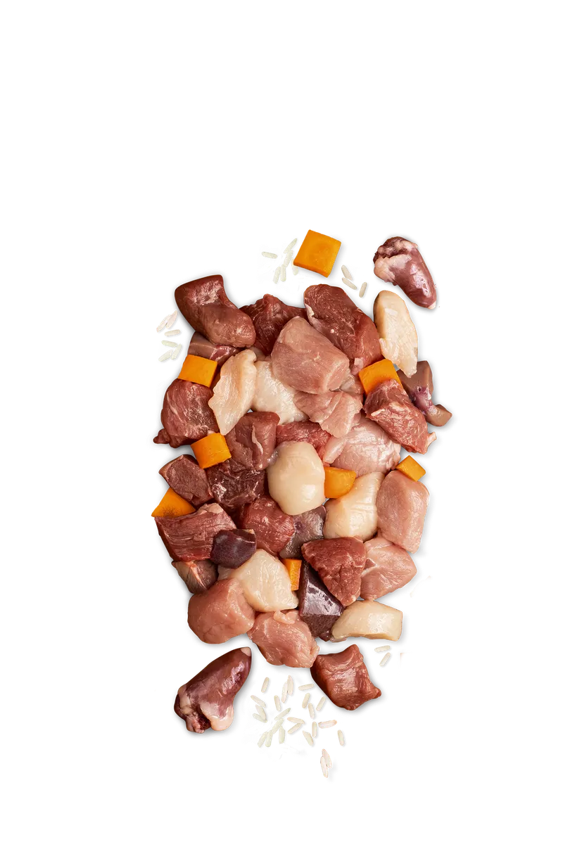 JOSERA Meat Lovers Menu Kurczak Z Marchewką 400g