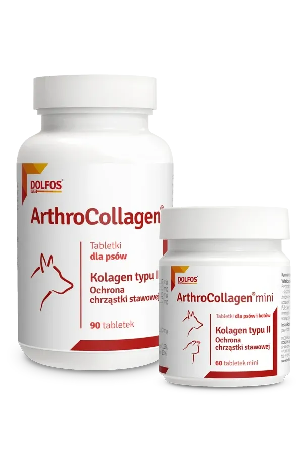 Dolfos ArthroCollagen 90 Tabletek