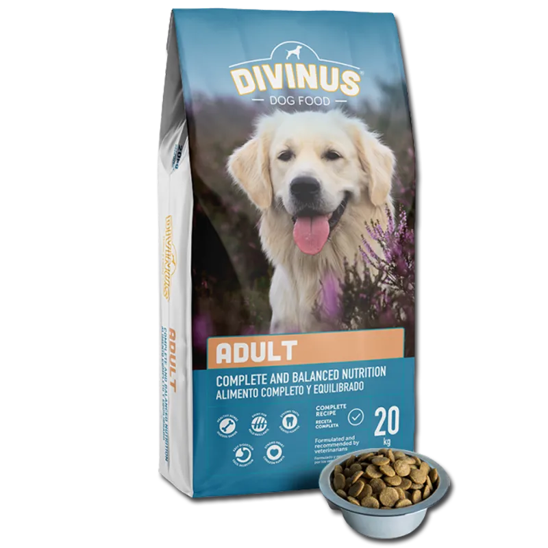 Divinus Adult Karma Sucha Dla Psów Dorosłych 20kg