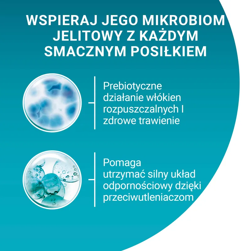 Purina One Adult Karma Dla Kota Z Kurczakiem I Zieloną Fasolką 85g