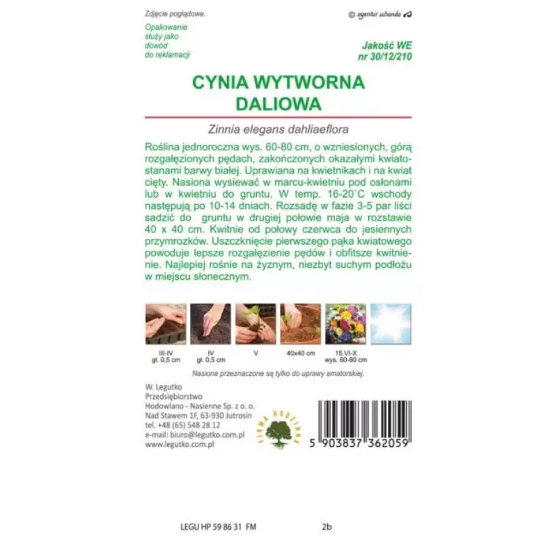 Cynia Wytworna Daliowa Polar Bear Kwiaty Ogrodowe GARDIVA 1,5 g - Biała