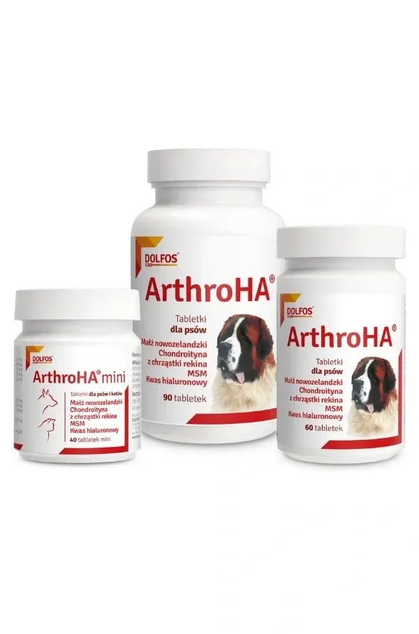 Dolfos ArthroHa 90 Tabletek