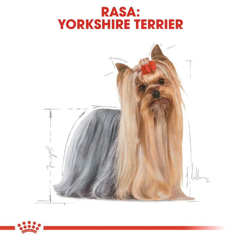ROYAL CANIN Yorkshire Terrier Adult 500g