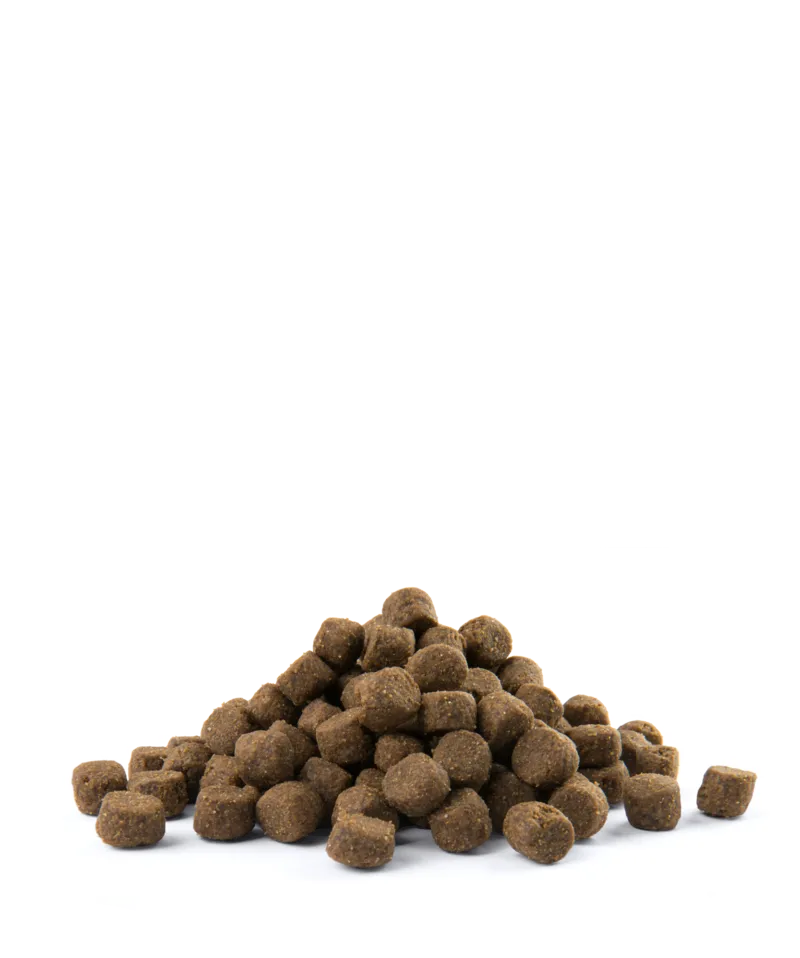 Versele-Laga Opti Life Adult Digestion Medium&Maxi Jagnięcina Z Ryżem 12,5kg