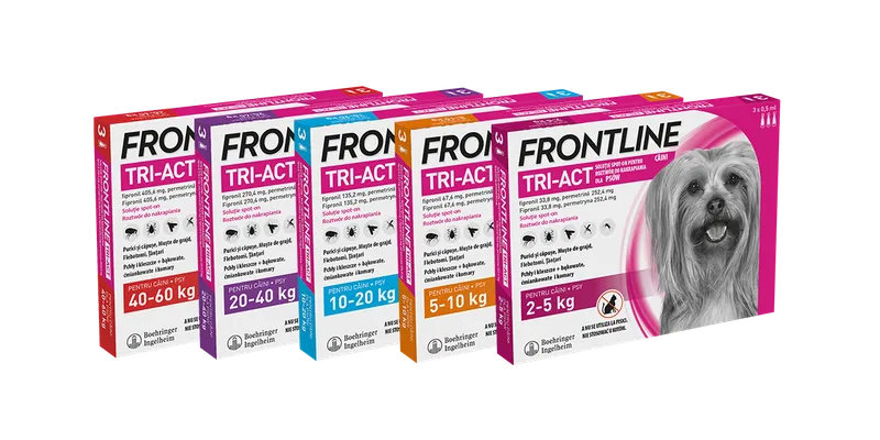 FRONTLINE Tri-Act Dla Psów 3x4ml