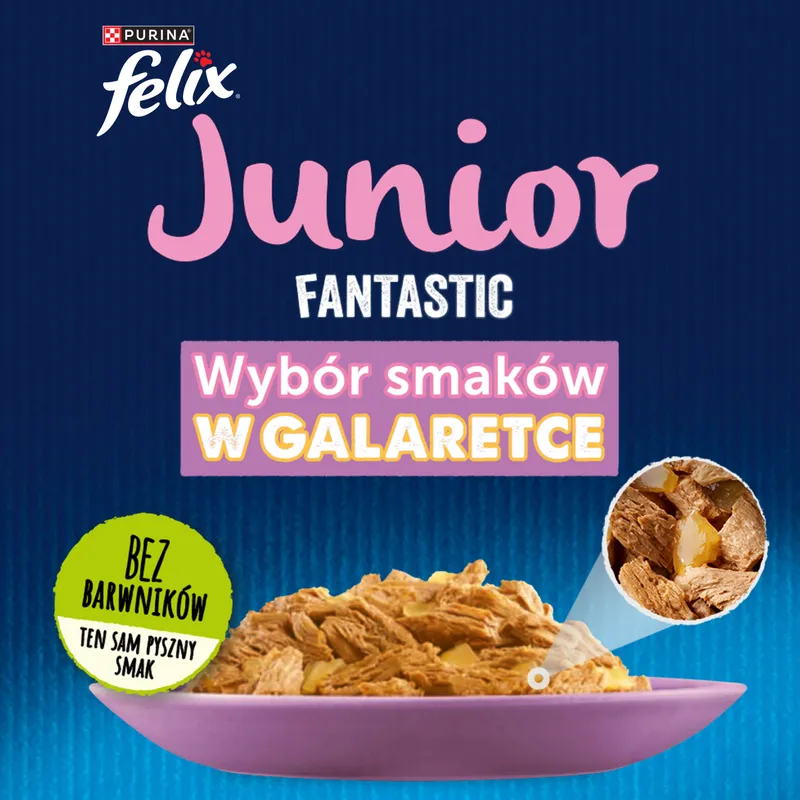 Felix Fantastic Junior W Galaretce Z Kurczakiem I Łososiem 4x85g