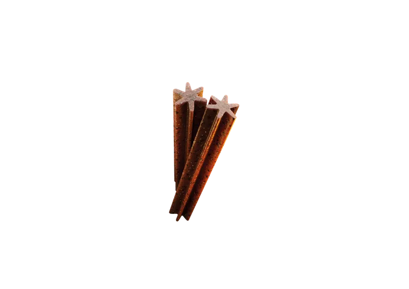Przysmak Dla Psa Dentystyczny Do Żucia Z Kaczką I Marchewką ZOOJOY 180 g