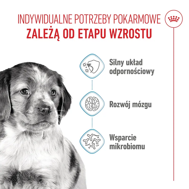 ROYAL CANIN Medium Puppy 15kg