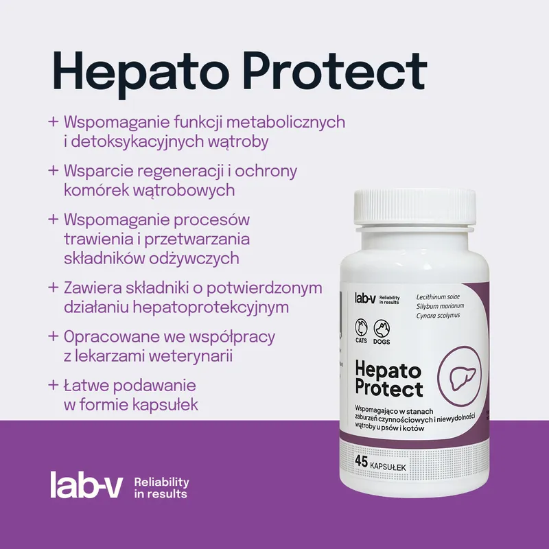 Lab-V Hepato Protect Wspomaganie Funkcji Wątroby Dla Psów I Kotów 45 Kapsułek