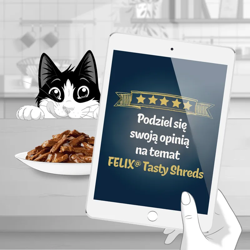 Karma Mokra Dla Kota W Sosie Wiejskie Smaki 320 g ZOOJOY Felix Tasty