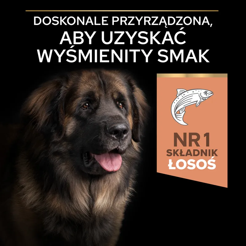 Purina Pro Plan Large Adult Robust Optiderma Łosoś Z Ryżem 14kg