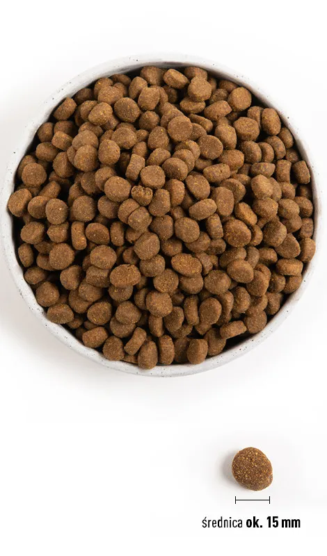 Orijen Dog Puppy Large 6kg