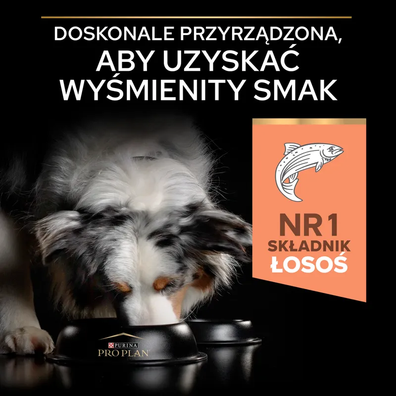 Purina Pro Plan Medium Adult Sensitive Skin Optiderma Łosoś I Ryż 14kg