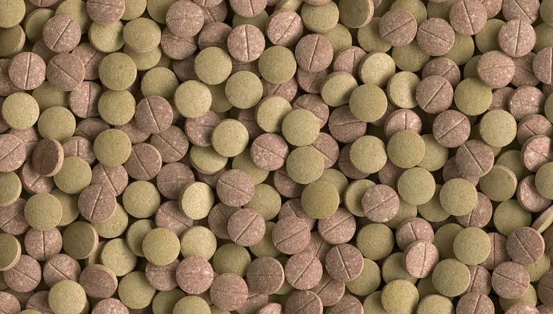 Tetra Tablets TabiMin XL 133 Tabletki