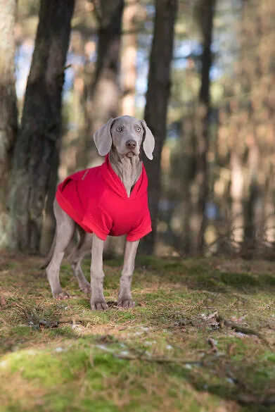 AMIPLAY Bluza Z Kapturem Texas 45cm - Czarna