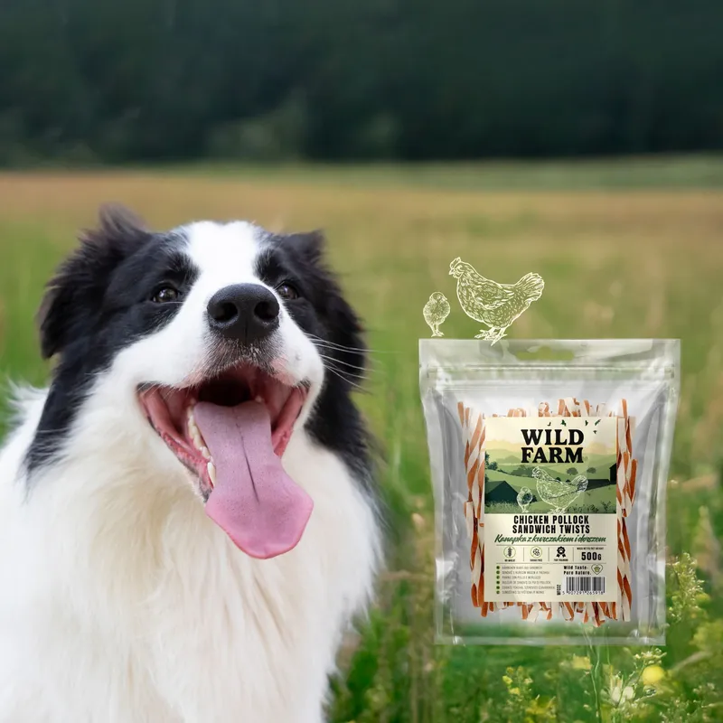 Przysmak Dla Psa Mięso Suszone Naturalne Bezzbożowe ZOOJOY 500 g