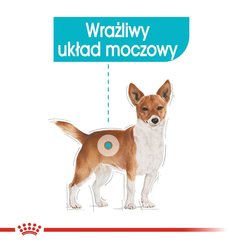 ROYAL CANIN CCN Urinary Care Pasztet 12x85g