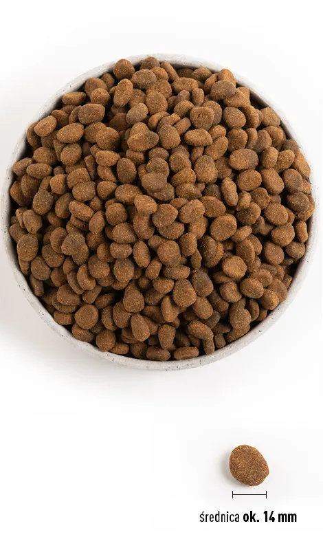 ORIJEN Tundra Dog 6kg