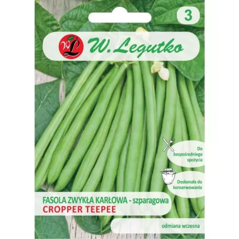 Fasola Karłowa Zielonostrąkowa Cropper Teepee GARDIVA 40 g Średniowczesna