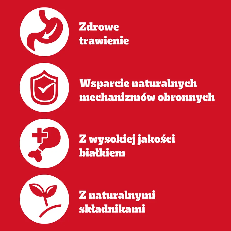 Pedigree Mokra Karma Dla Dorosłych Psów Z Wołowiną W Galarecie Puszka 400g