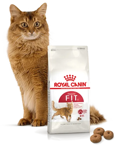 ROYAL CANIN Fit 32 10kg