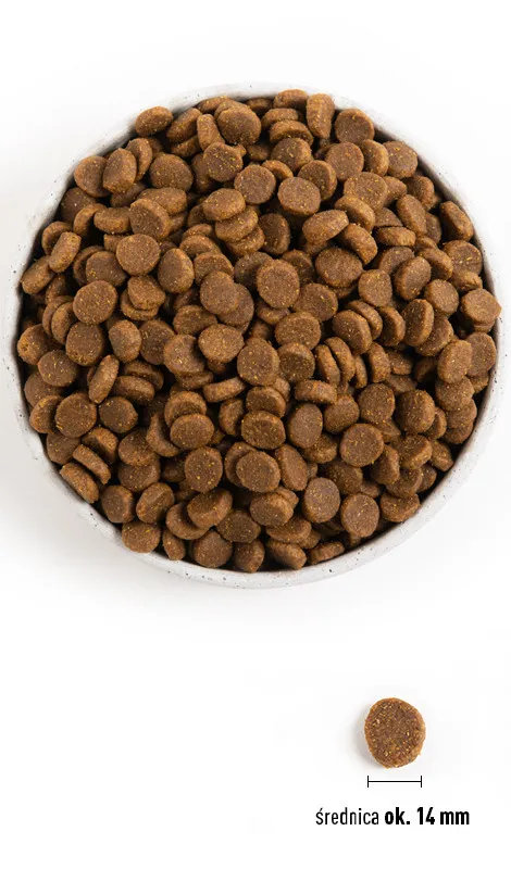 ACANA Senior Dog Dla Psów Starszych Potrzeba 2 kg