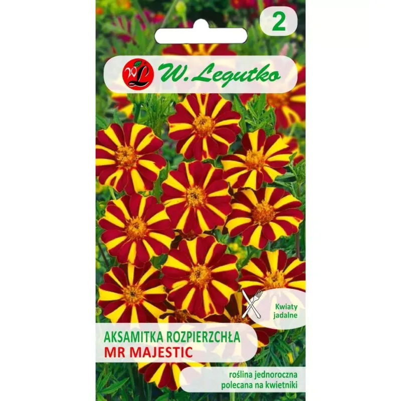 Nasiona Aksamitka Rozpierzchła Mr Majestic Mahoniowo 0,30 g GARDIVA - Brązowe