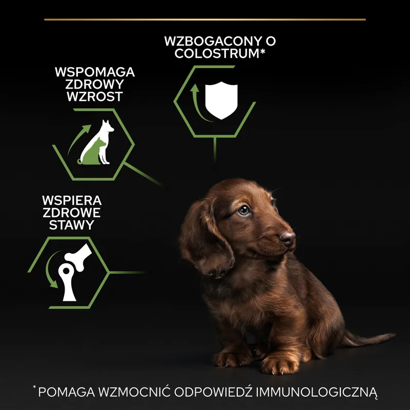 Purina Pro Plan Small & Mini Puppy Optistart Kurczak I Ryż 7kg