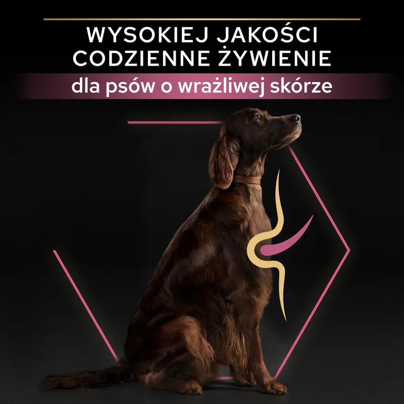 Purina Pro Plan Large Adult Athletic Optiderma Łosoś I Ryż 14kg
