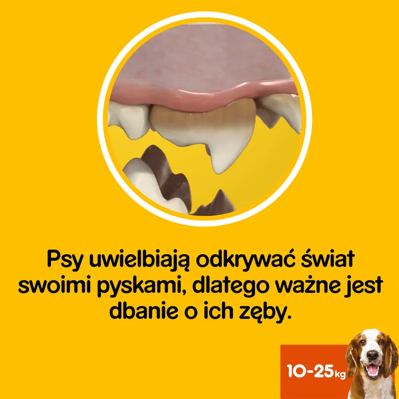 Pedigree DentaStix Przysmak Dentystyczny Dla Psów Od 4 Miesiąca I Wadze 10-25KG 180g