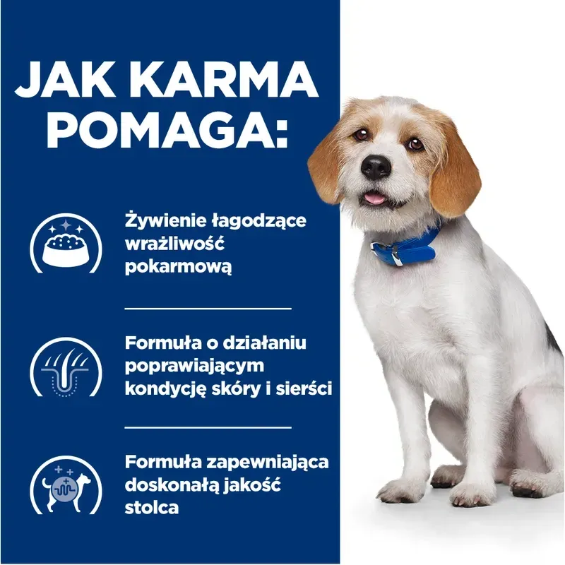 Karma Dla Psa Sucha Przeciw Alergii Niskotłuszczowa ZOOJOY 3 kg