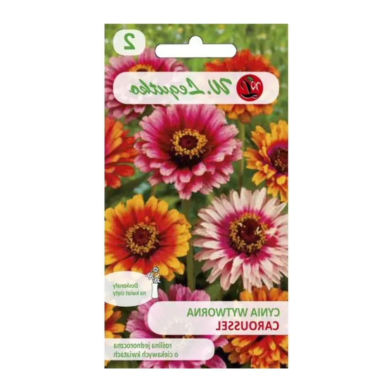 Cynia Wytworna Daliowa Caroussel Mieszanka Dwubarwna GARDIVA 1,5 g